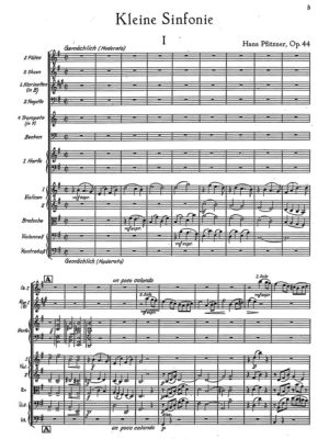 Pfitzner - Little Symphony in G-Major op.44