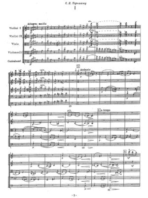 Miaskovsky - Sinfonietta for String Orchestra in A minor, Op. 68, No. 2.