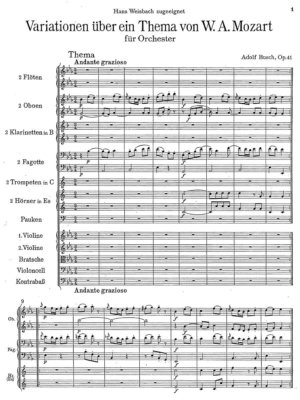 Busch - Variationen über ein Thema von W. A. Mozart