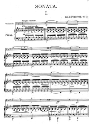 Foerster - Sonata Op. 45
