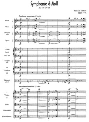 Strauss - Symphony in D minor