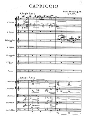 Busch - Capriccio for small orchestra op. 46