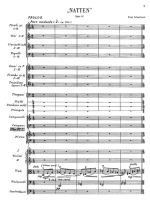 Schierbeck-Natten Op. 41 for orchestra