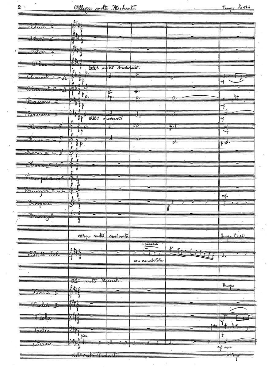 Reinecke, Carl - Concerto for Flute and Orchestra Op. 283.
